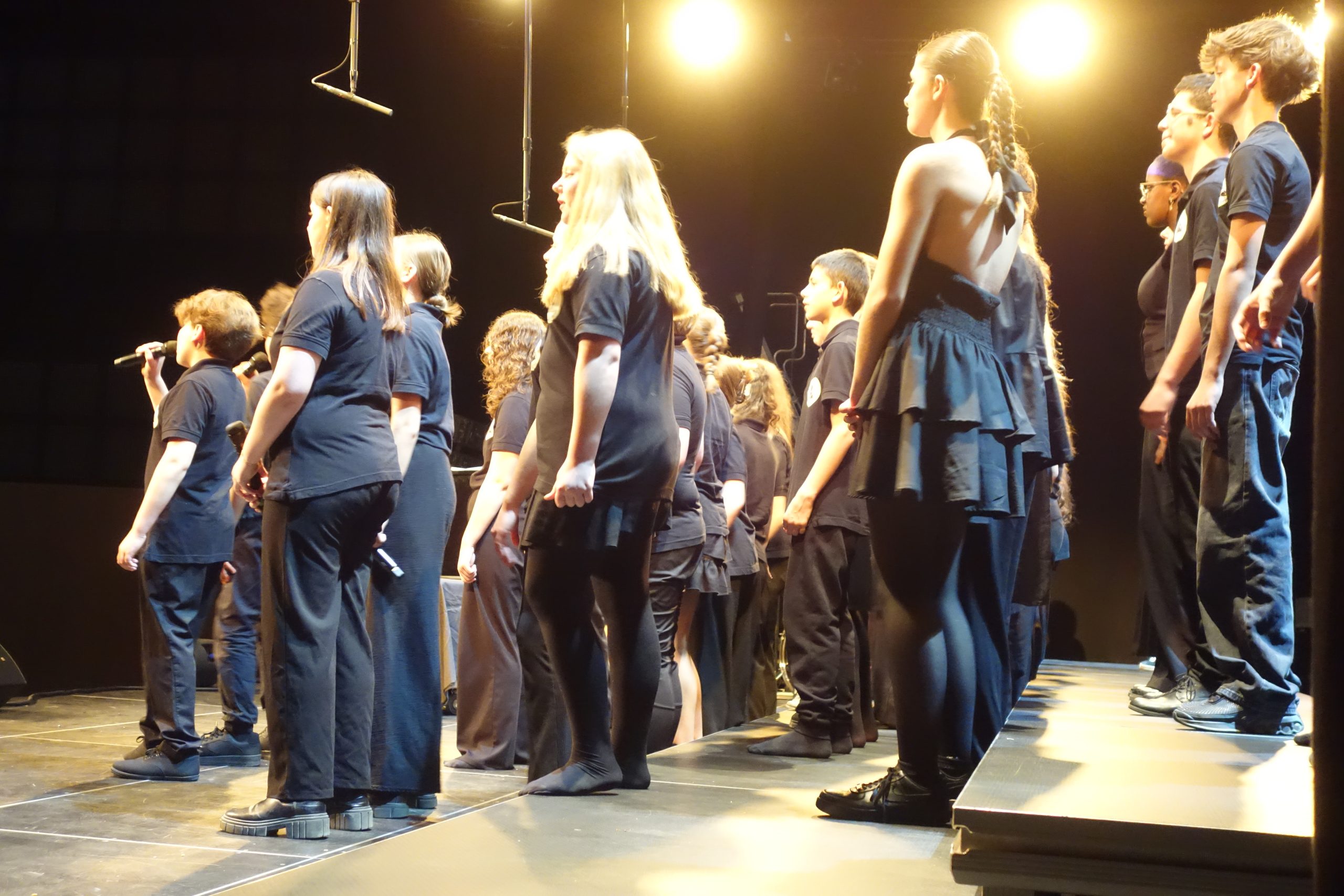 Les élèves de les CHAM du collège Jacques Brel en concert