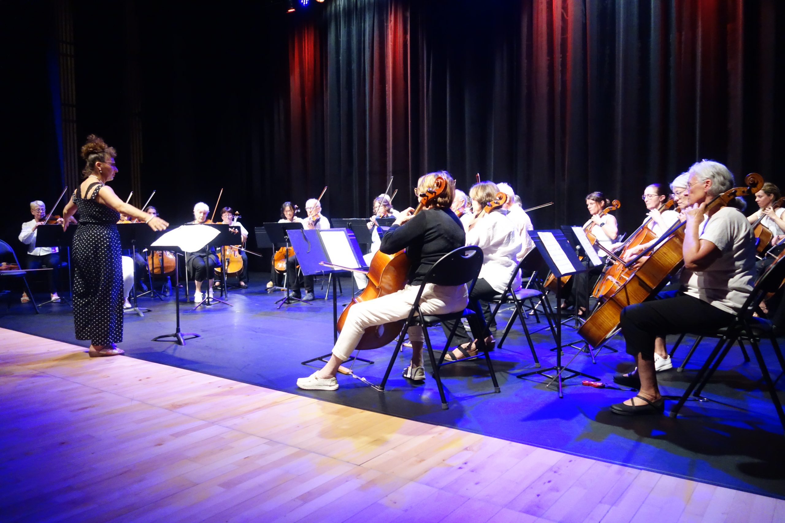 Une vingtaine de musiciens adultes amateurs de l'ensemble cordes sur scène avec leur violoncelle, alto et violon sous la direction d'Emmanuelle Roch.