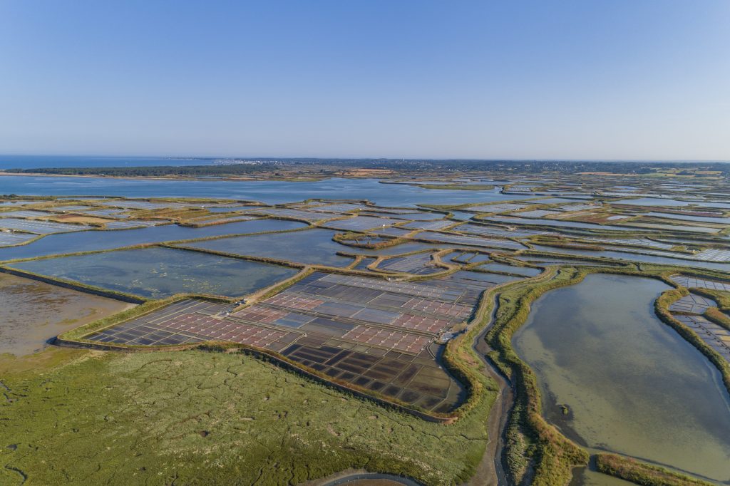 Vue aérienne des marais salants de Guérande